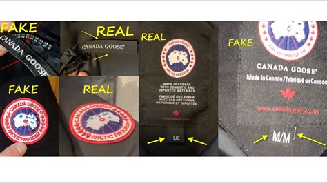 canada goose counterfeit websites